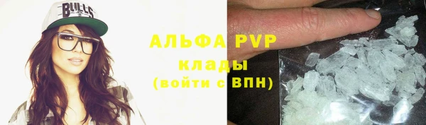 индика Дмитриев